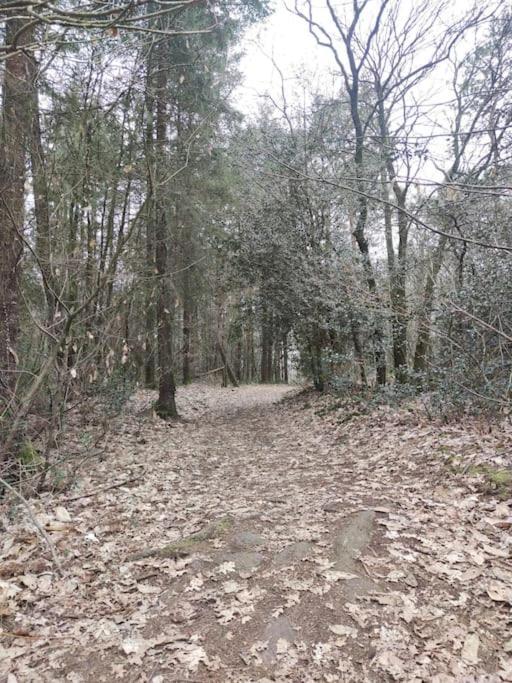 Avec Au Coeur De Broceliande Ferienhaus *