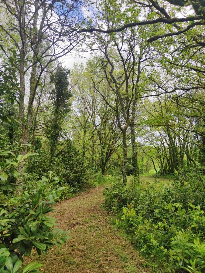 Holiday home Avec Au Coeur De Broceliande *
