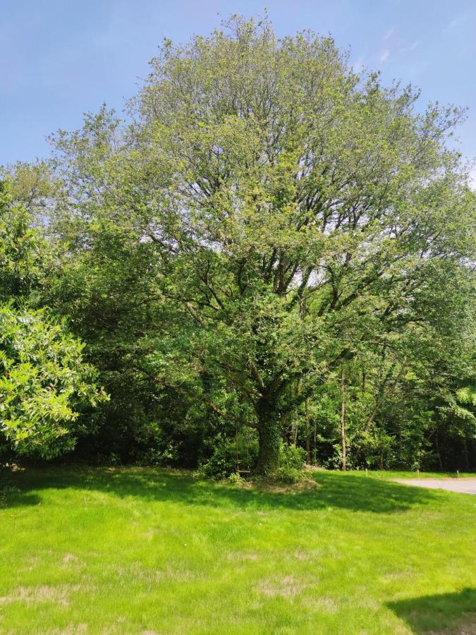 Ferienhaus Avec Au Coeur De Broceliande Beignon